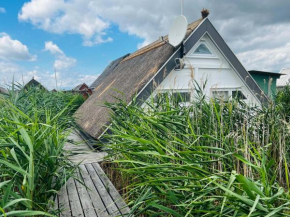 Seehütte Villa am Neusiedler See